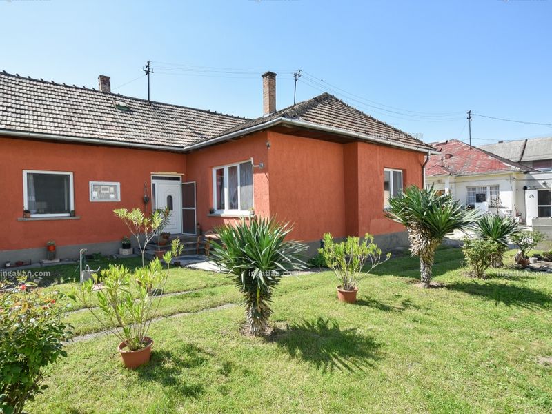 Ingatlan kép