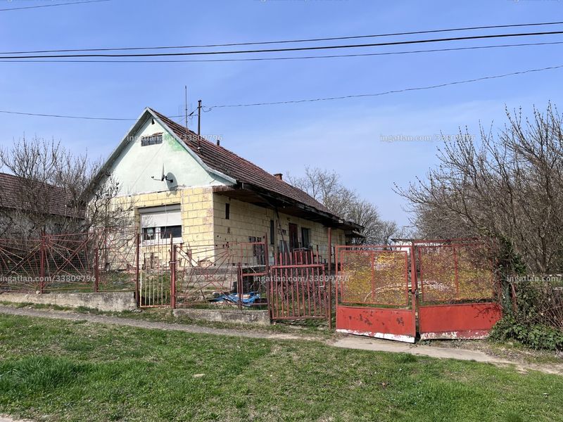 Ingatlan kép