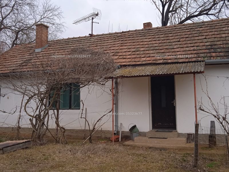 Ingatlan kép