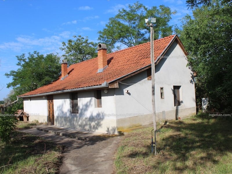 Ingatlan kép