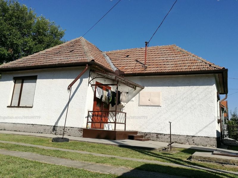 Ingatlan kép