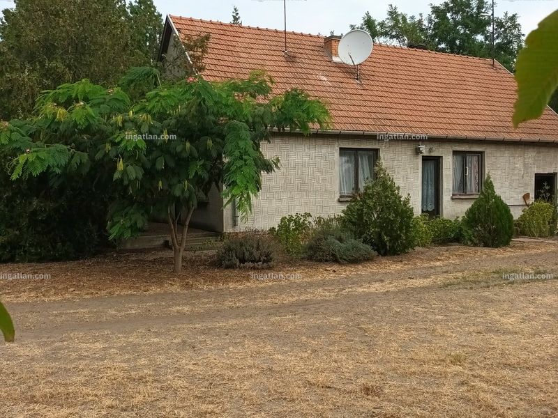 Ingatlan kép