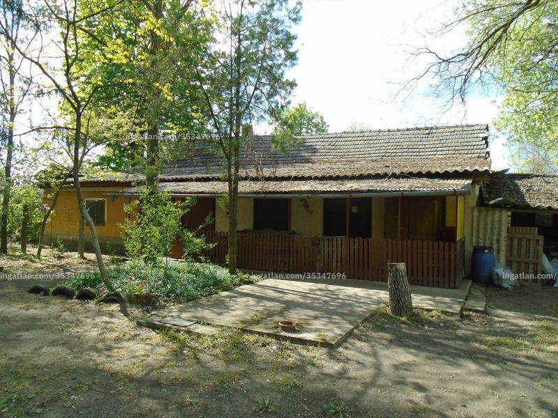 Ingatlan kép