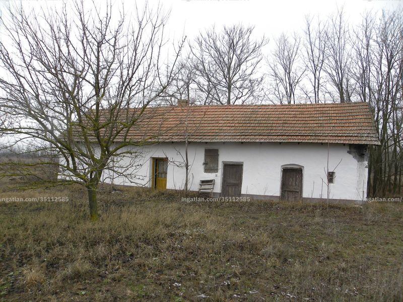 Ingatlan kép
