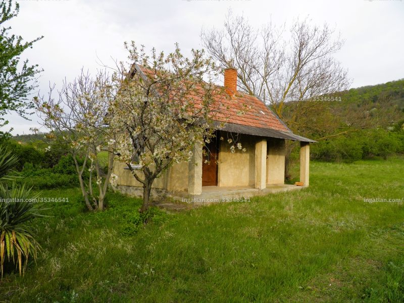Ingatlan kép