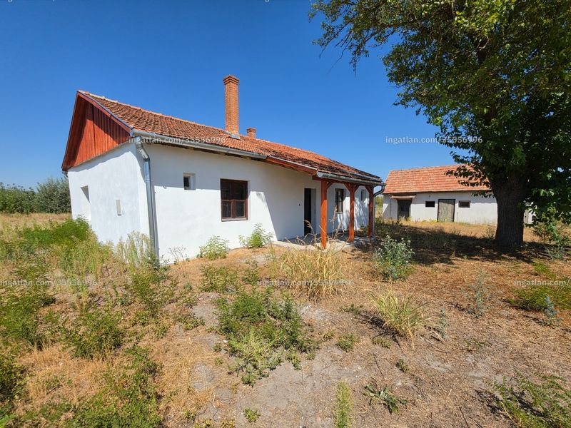 Ingatlan kép