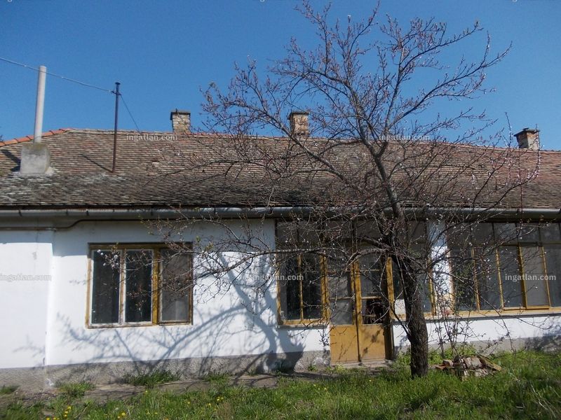 Ingatlan kép