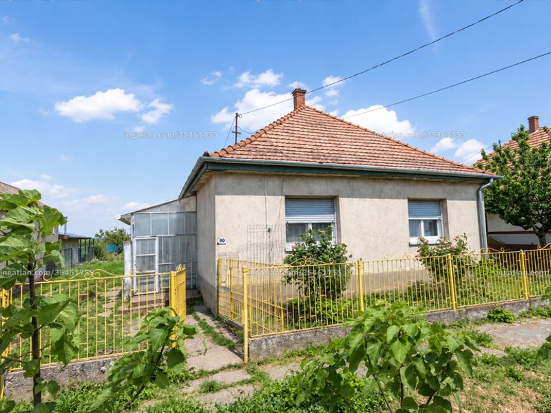Ingatlan kép