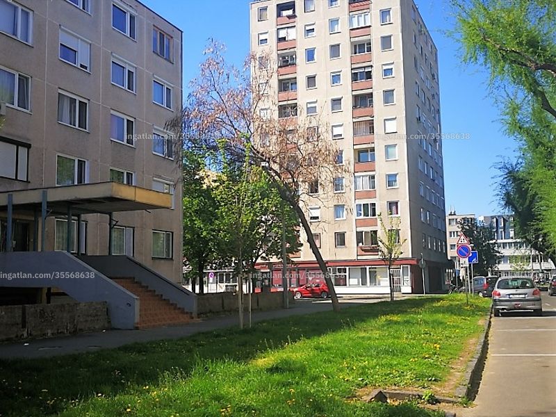 Ingatlan kép