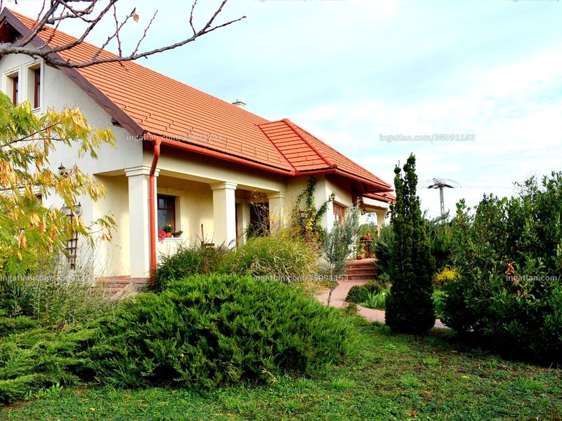 Ingatlan kép