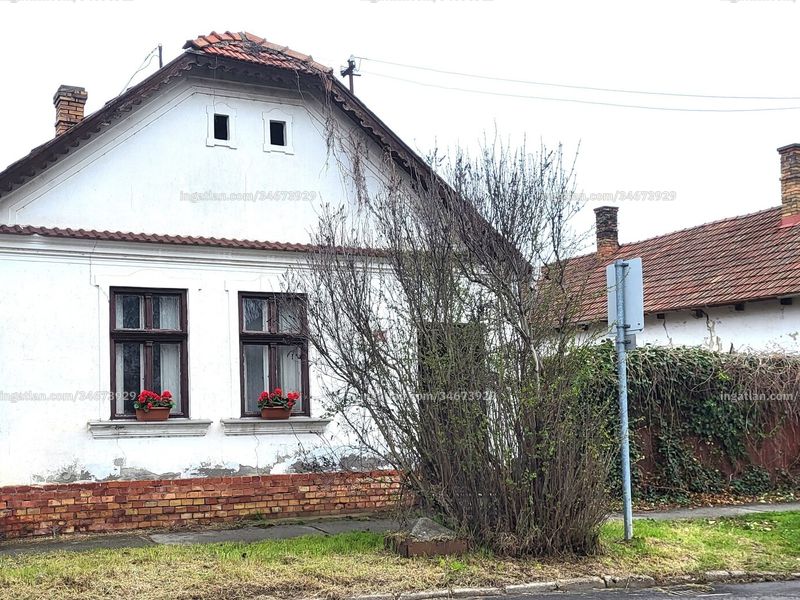 Ingatlan kép