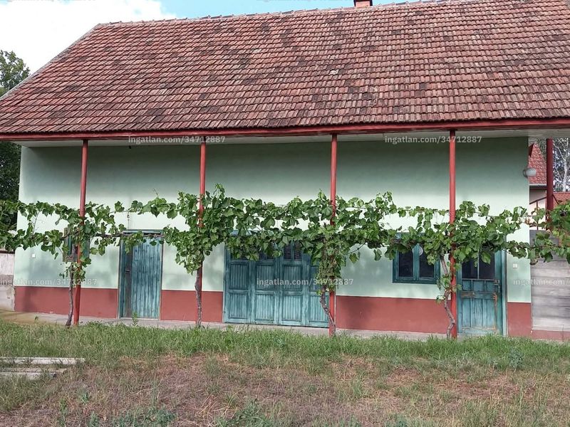Ingatlan kép
