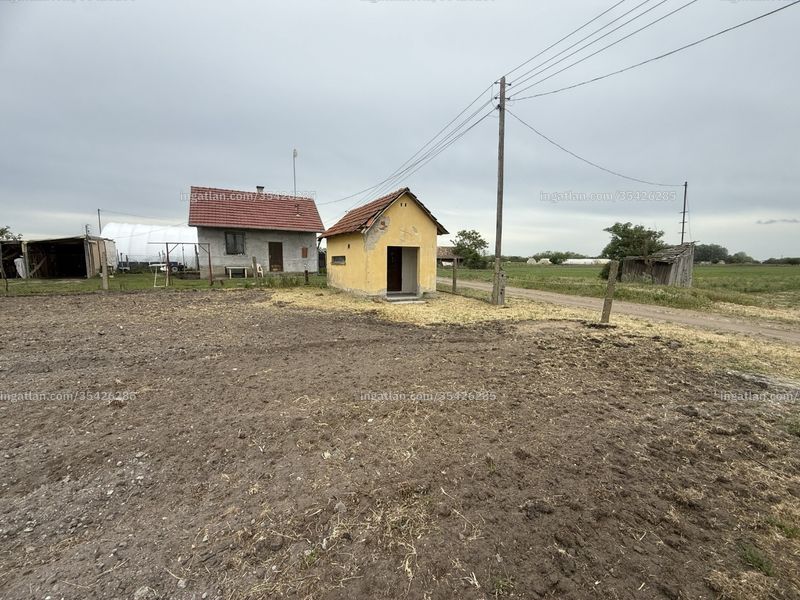 Ingatlan kép