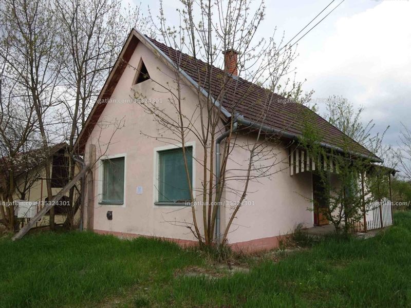 Ingatlan kép