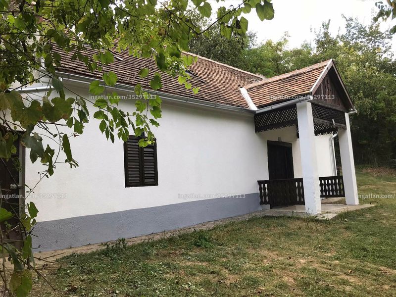 Ingatlan kép