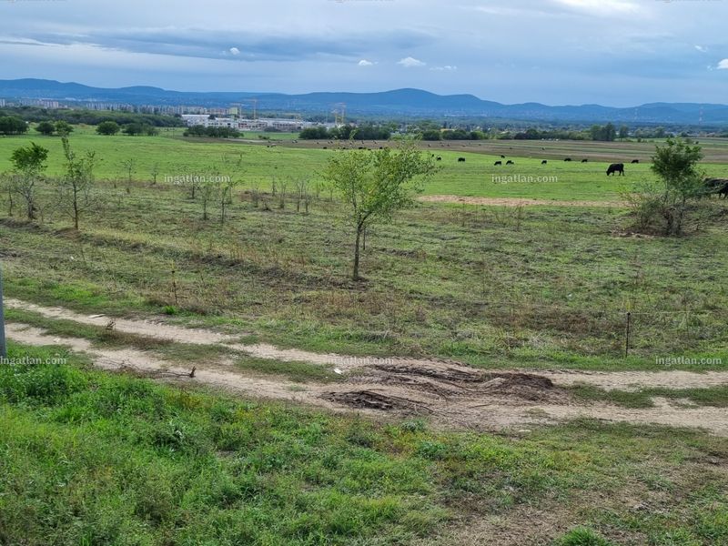 Ingatlan kép