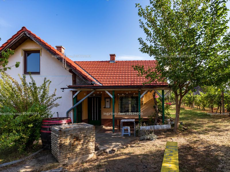 Ingatlan kép