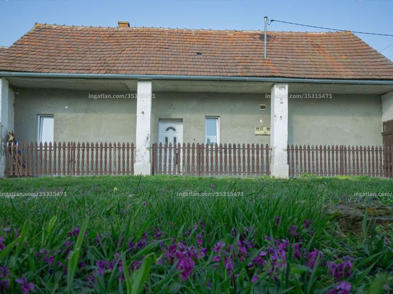 Ingatlan kép