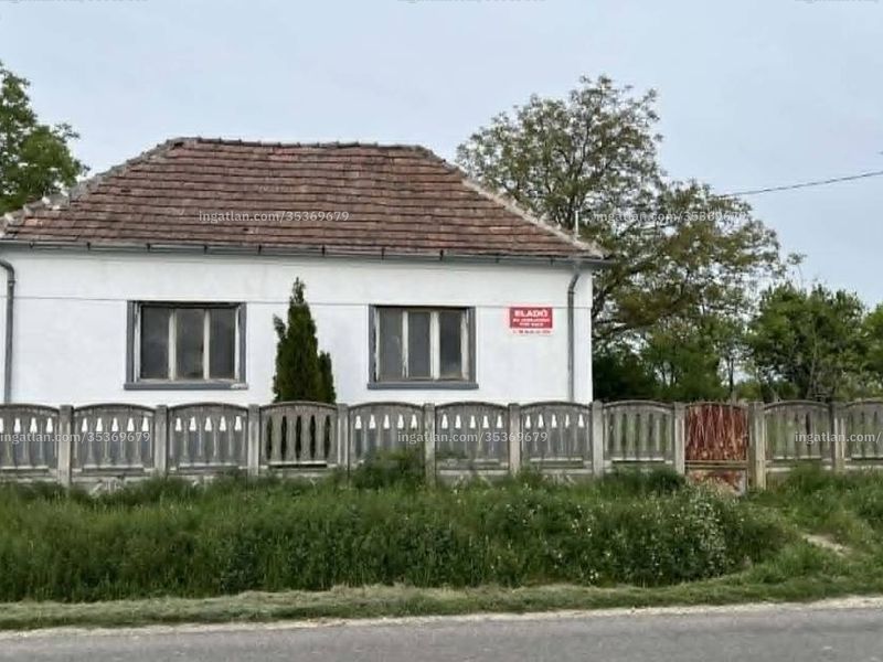 Ingatlan kép