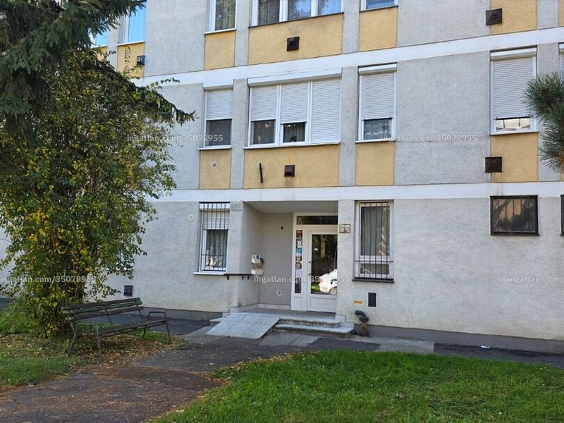 Ingatlan kép