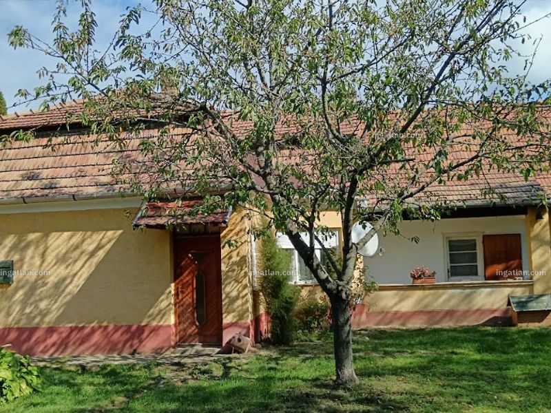 Ingatlan kép