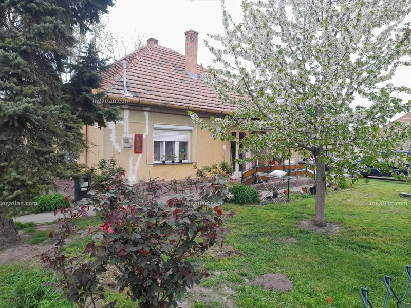Ingatlan kép