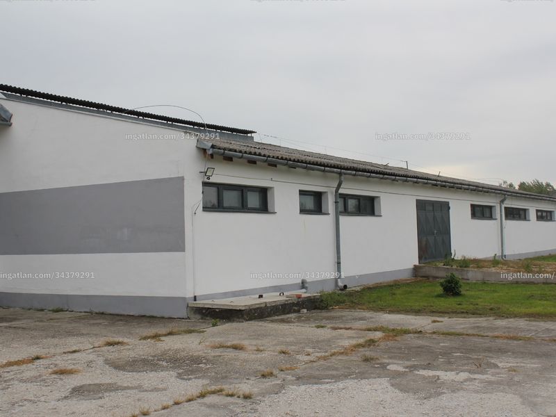 Ingatlan kép