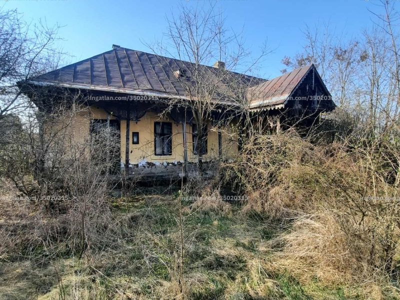 Ingatlan kép