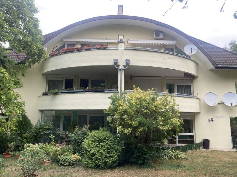 Ingatlan kép