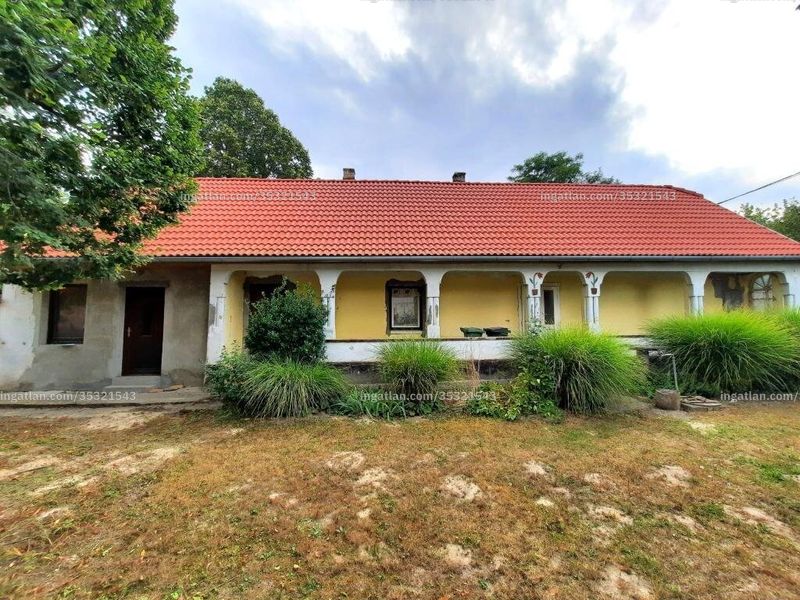 Ingatlan kép