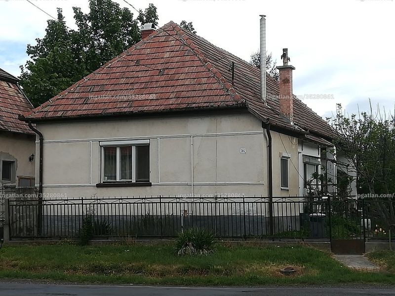 Ingatlan kép