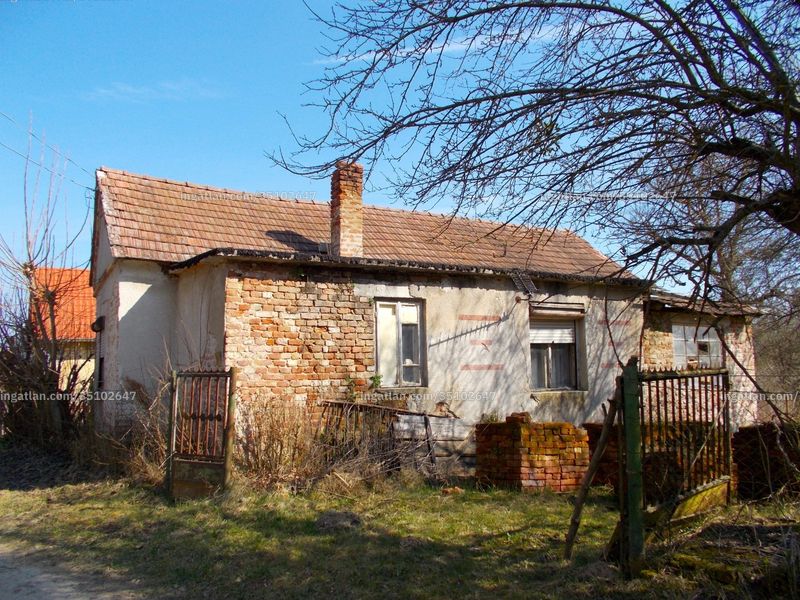 Ingatlan kép