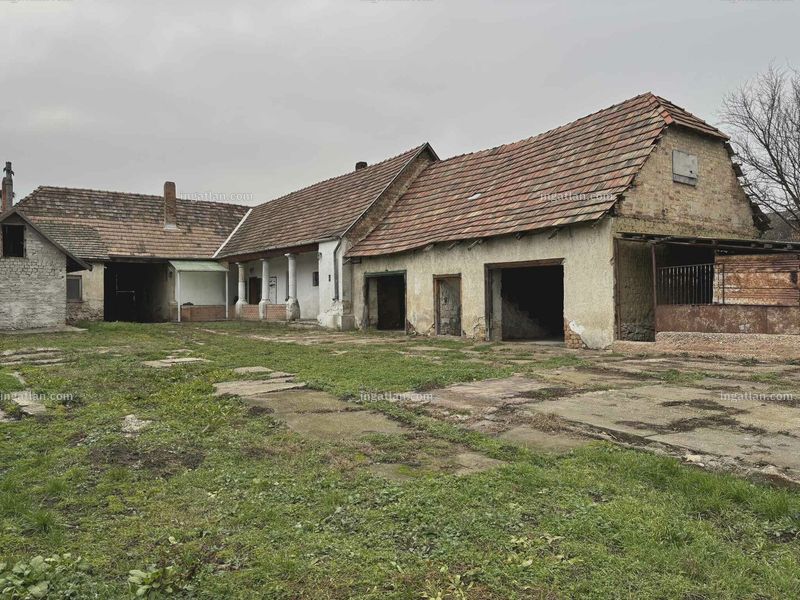 Ingatlan kép