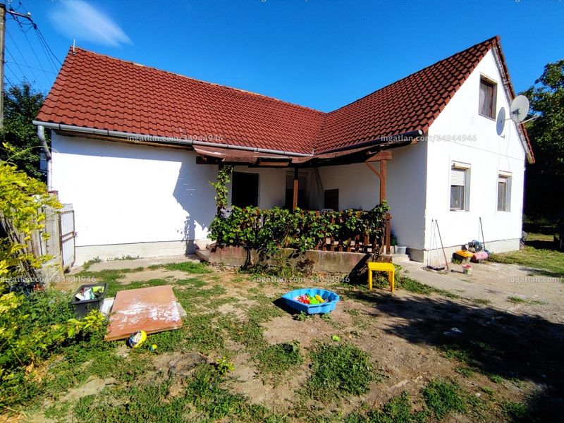 Ingatlan kép