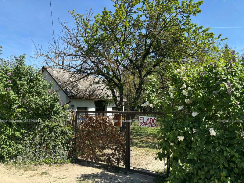 Ingatlan kép