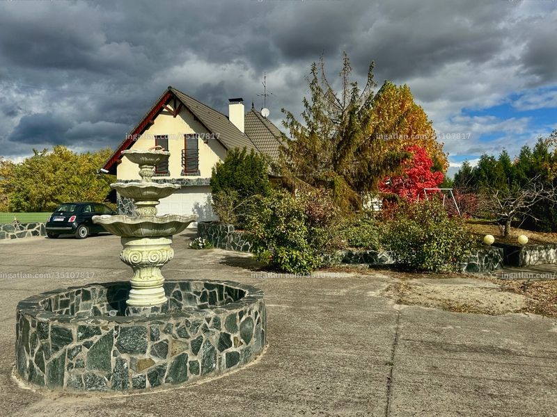 Ingatlan kép