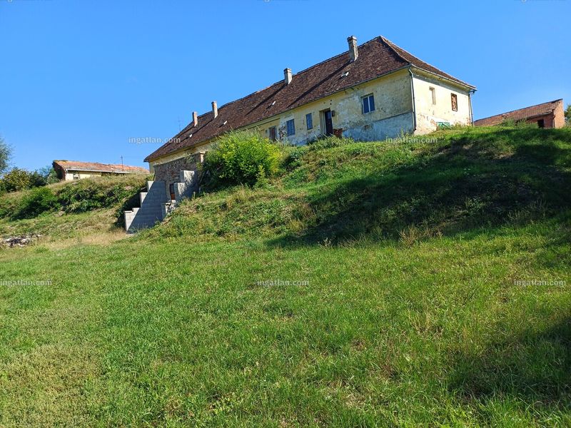 Ingatlan kép