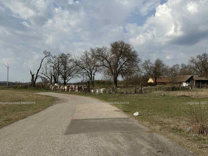 Ingatlan kép