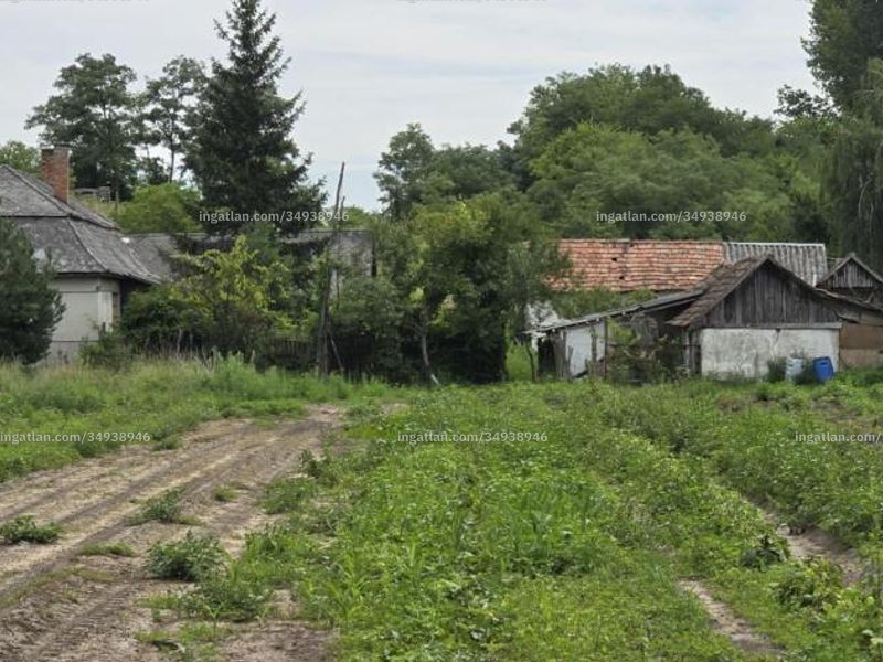 Ingatlan kép