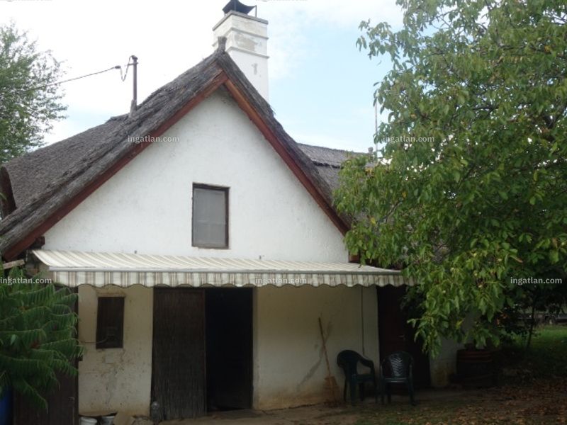 Ingatlan kép