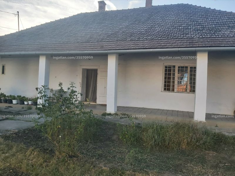Ingatlan kép
