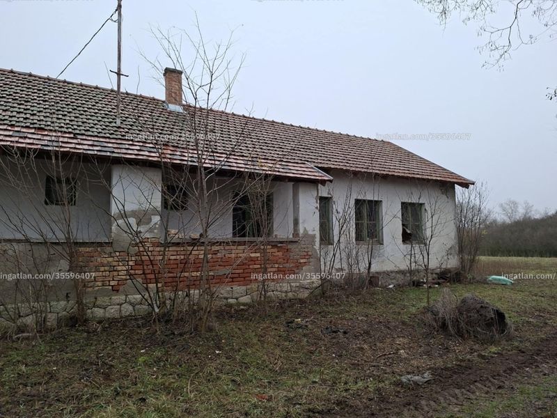 Ingatlan kép