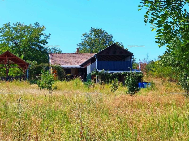 Ingatlan kép
