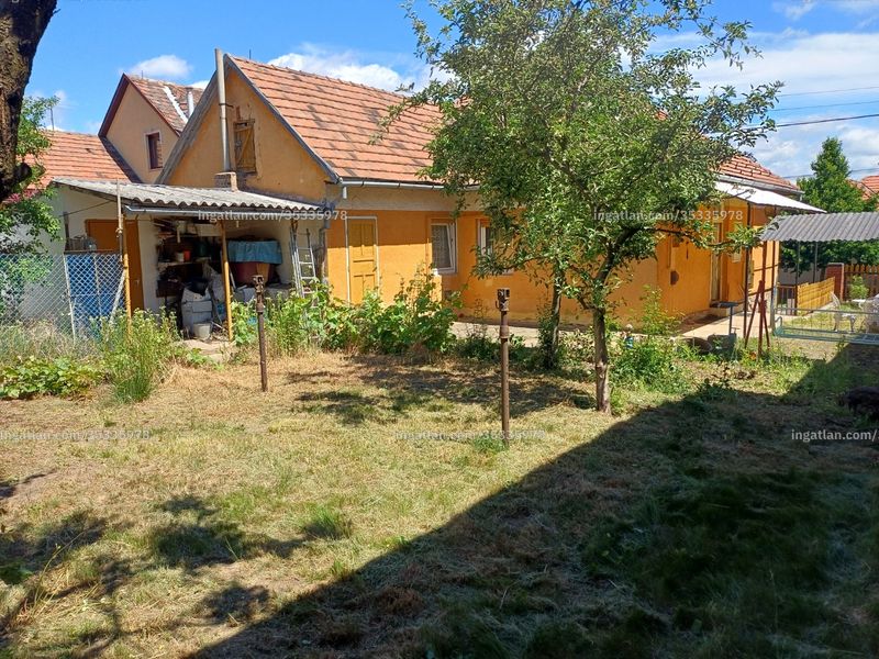 Ingatlan kép