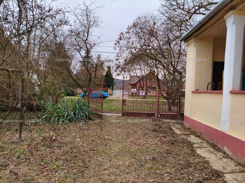 Ingatlan kép