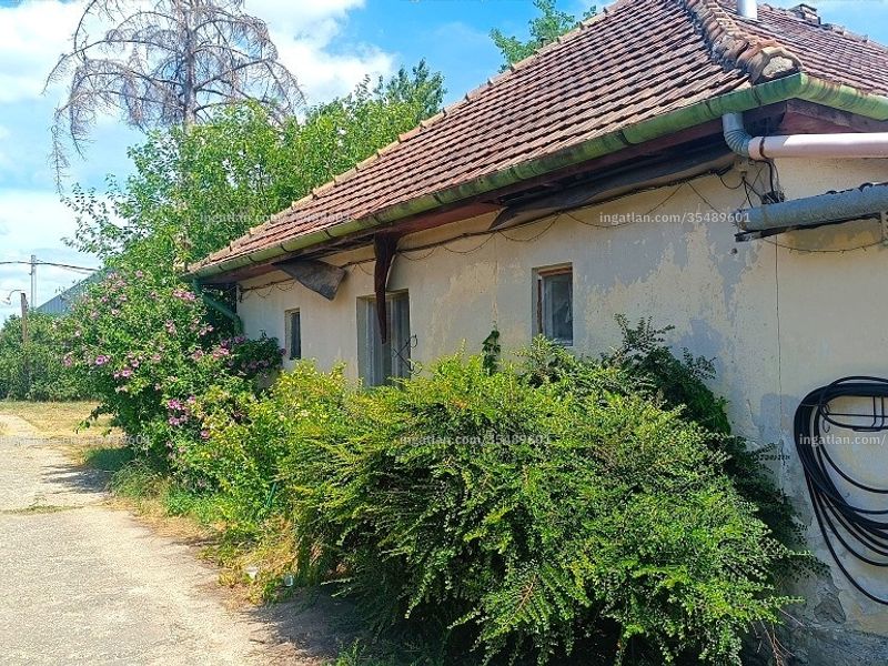 Ingatlan kép