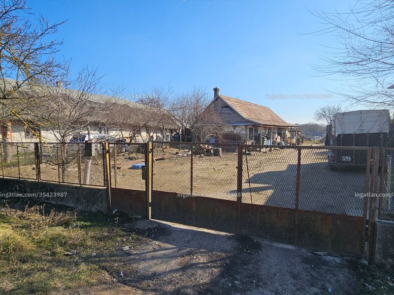 Ingatlan kép