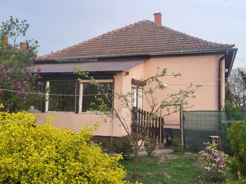 Ingatlan kép