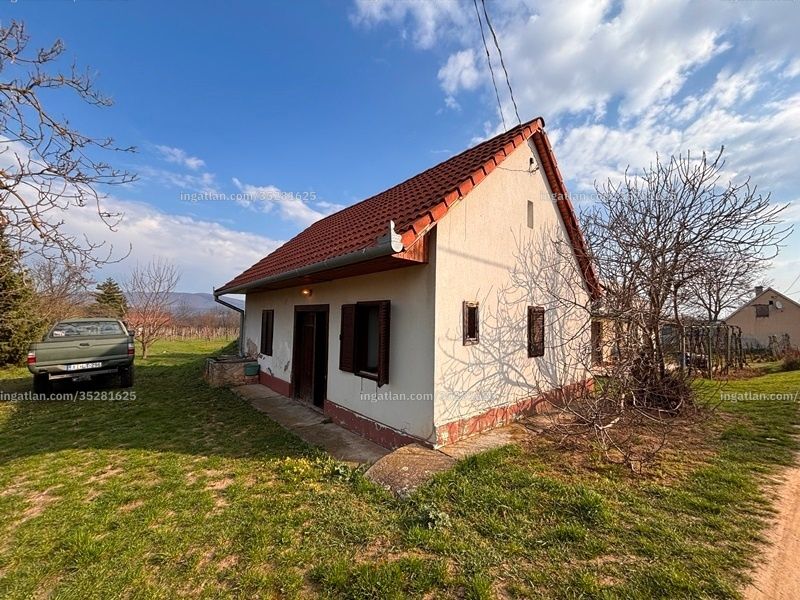 Ingatlan kép