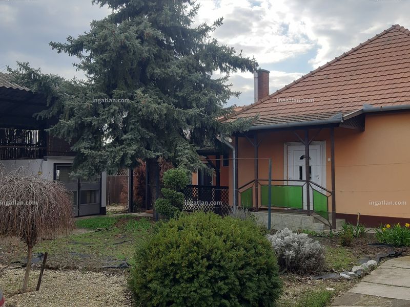 Ingatlan kép